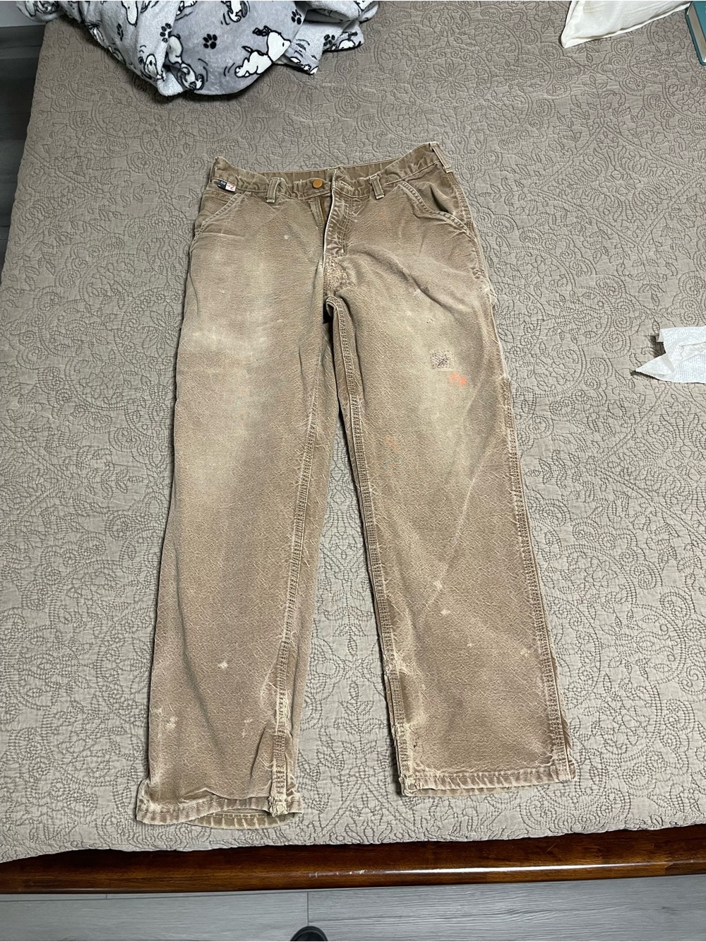 Carhartt 30 x 30 pants